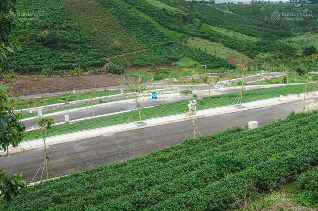 Bán đất tại phường 2, bảo lộc, lâm đồng, giá thỏa thuận, 92m2, chính chủ bán gấp