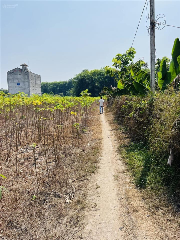 15.000 m2 (1,5 bán đất tân hội, 4 tỷ, mặt tiền 350m, pháp lý đầy đủ, view hồ, sông tha la