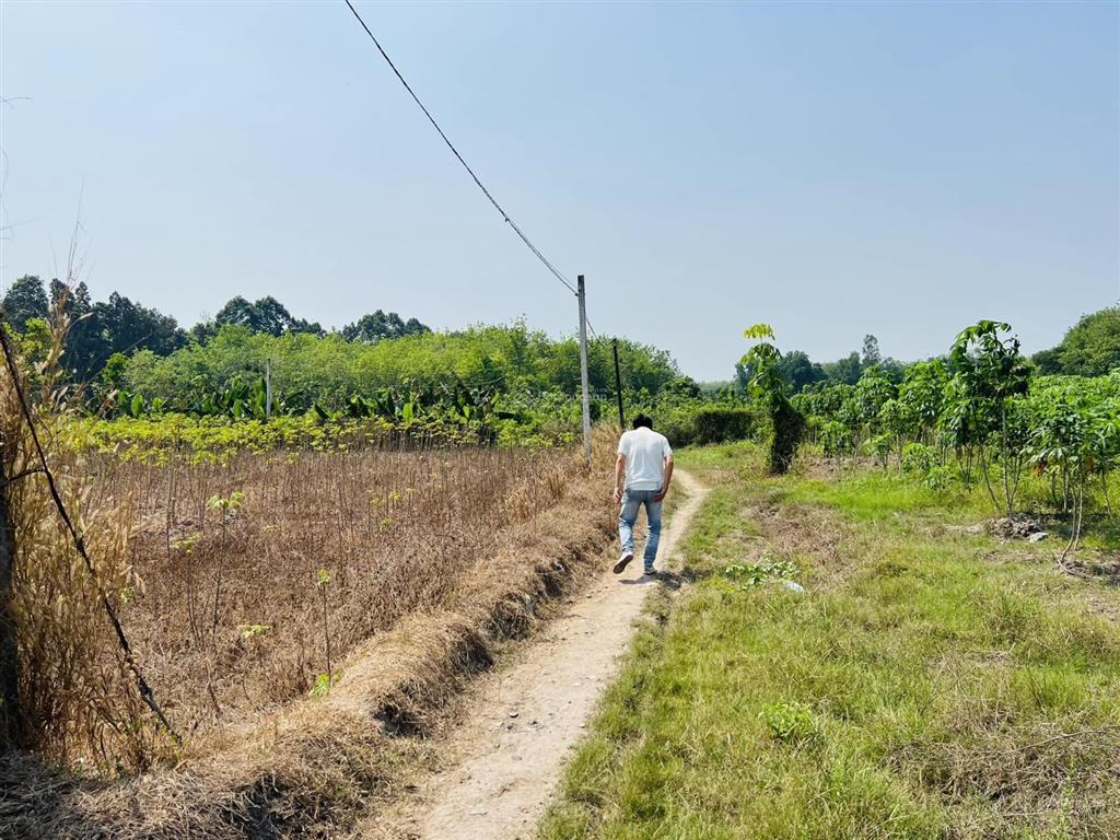 15.000 m2 (1,5 bán đất tân hội, 4 tỷ, mặt tiền 350m, pháp lý đầy đủ, view hồ, sông tha la