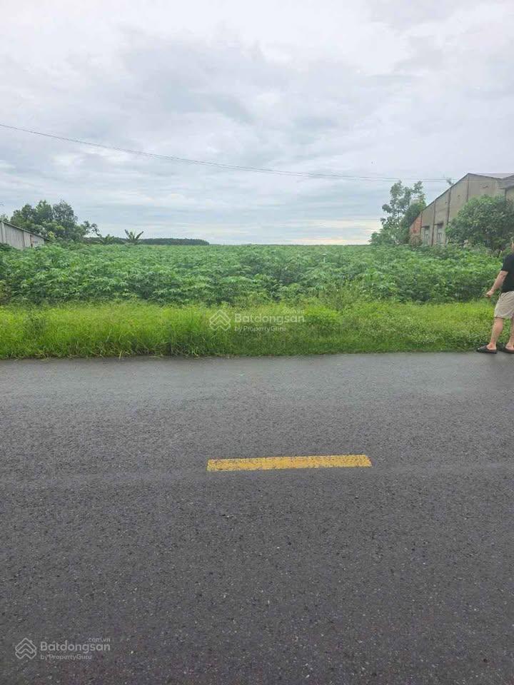 15.000 m2 (1,5 bán đất tân hội, 4 tỷ, mặt tiền 350m, pháp lý đầy đủ, view hồ, sông tha la