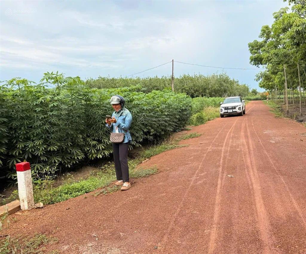 15.000 m2 (1,5 bán đất tân hội, 4 tỷ, mặt tiền 350m, pháp lý đầy đủ, view hồ, sông tha la