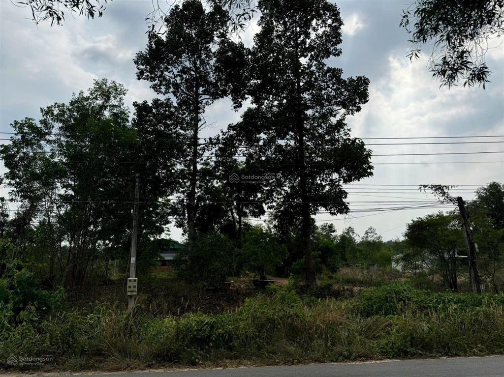 Bán đất ~ 3000m2 tại trần văn lắc, thị trấn dầu tiếng