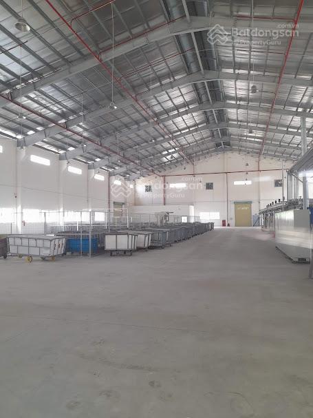 Kho xưởng cho thuê gò dầu, tây ninh, dt 10,000m²
