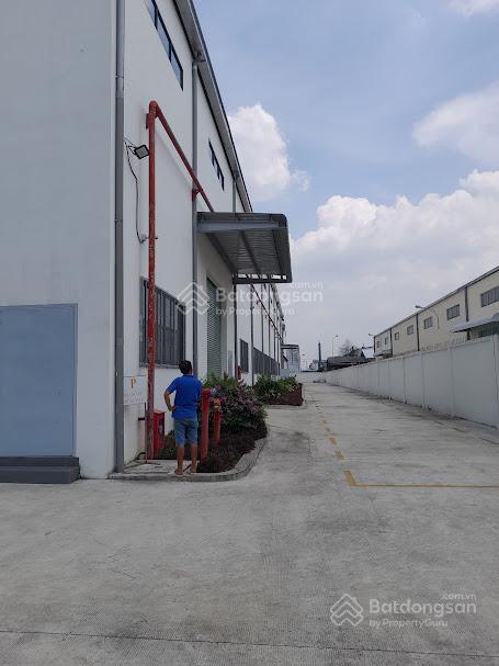 Kho xưởng cho thuê gò dầu, tây ninh, dt 10,000m²