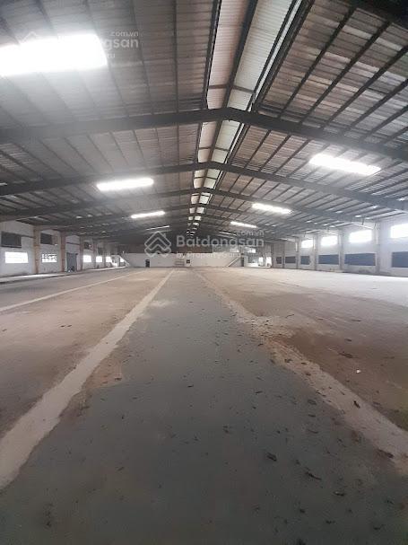 Kho xưởng cho thuê hóc môn , dt 10,000m2 , đưởng container 40j