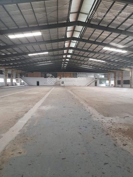 Kho xưởng cho thuê hóc môn , dt 10,000m2 , đưởng container 40j