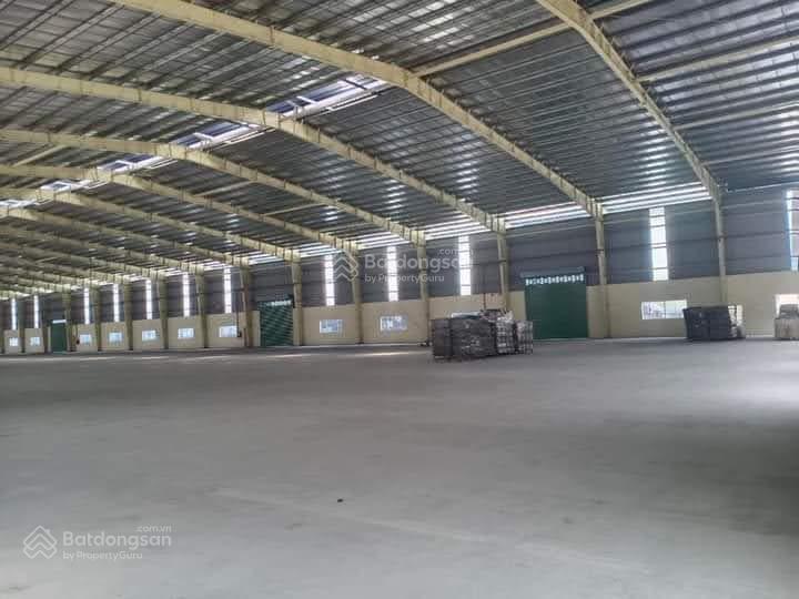 Kho xưởng cho thuê quốc lộ 22, củ chi, diện tích 8.500m² đường container 24h