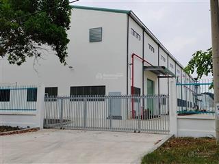Kho xưởng cho thuê quốc lộ 22, củ chi, diện tích 8.500m² đường container 24h