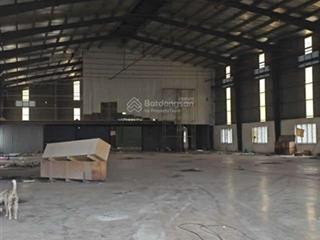 Kho xưởng cho thuê khu công nghiệp hải sơn, đức hòa, long an, dt 3.000m2
