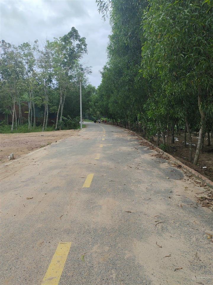 Bán đất hoà lợi 1 sẹc đt 741, bến cát, bình dương