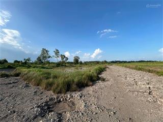 Tìm đối tác khai thác farmstay / camping / retreat tại an điền  bến cát