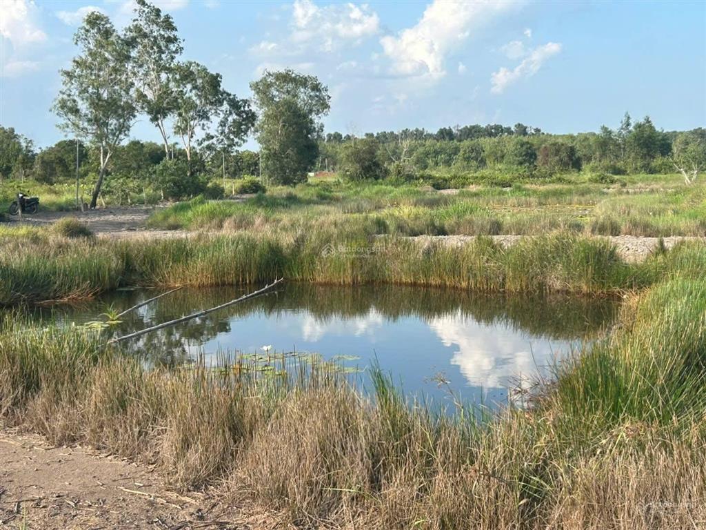 Tìm đối tác khai thác farmstay / camping / retreat tại an điền  bến cát