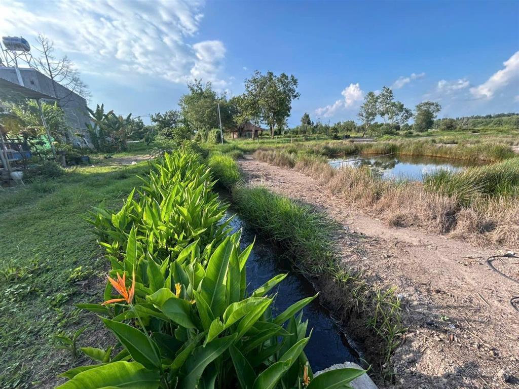 Tìm đối tác khai thác farmstay / camping / retreat tại an điền  bến cát