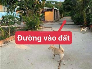Chính chủ bán gấp đất thổ đại phước nhơn trạch ngay cầu cát lái, phú mỹ 2, giá rẻ 3,5tr/m, gọi ngay