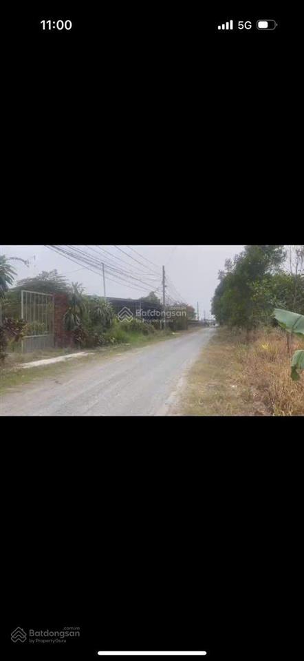 Ngộp bán gấp đất thổ nhà vườn nhơn trạch, giá rẻ. gần 25c, vành đai 3, đường xe tải, shr chỉnh chủ