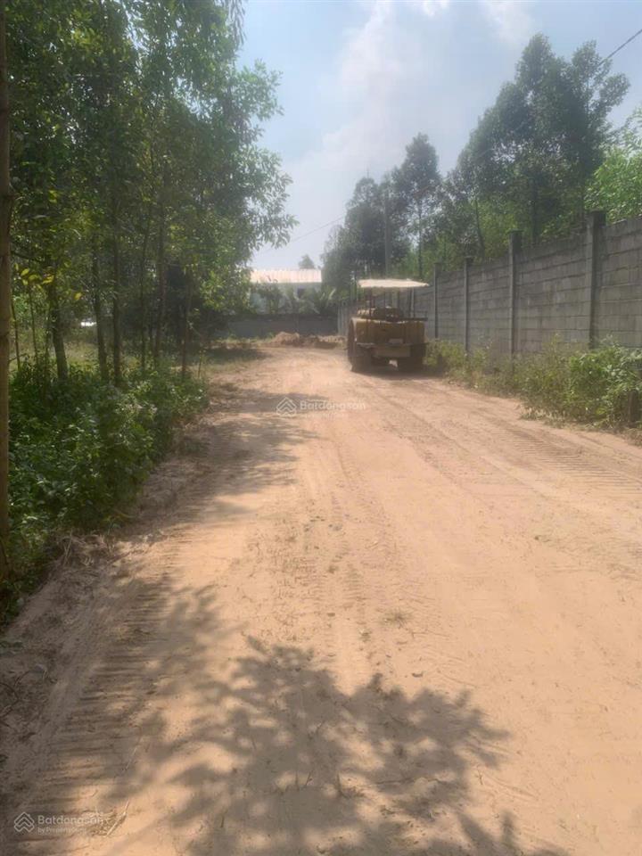 Bán gấp đất thổ nhà vườn phường nhơn trạch, giá rẻ 6,8tỷ/1181m2, xe tải, trọ, xưởng, shr chính chủ