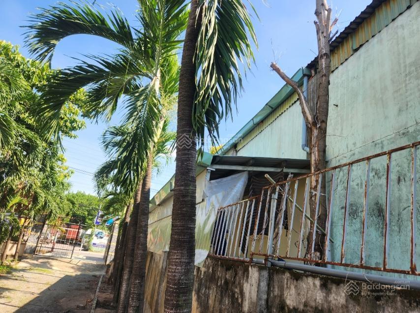 Bán đất & khu nhà xưởng ở p. an phú, tp. thuận an, tbình dương,diện tích 24.000 m2, giá 17 triệu/m2