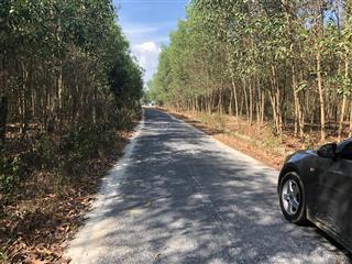 Bán đất xuôi nghệ châu pha, phú mỹ, bà rịa
