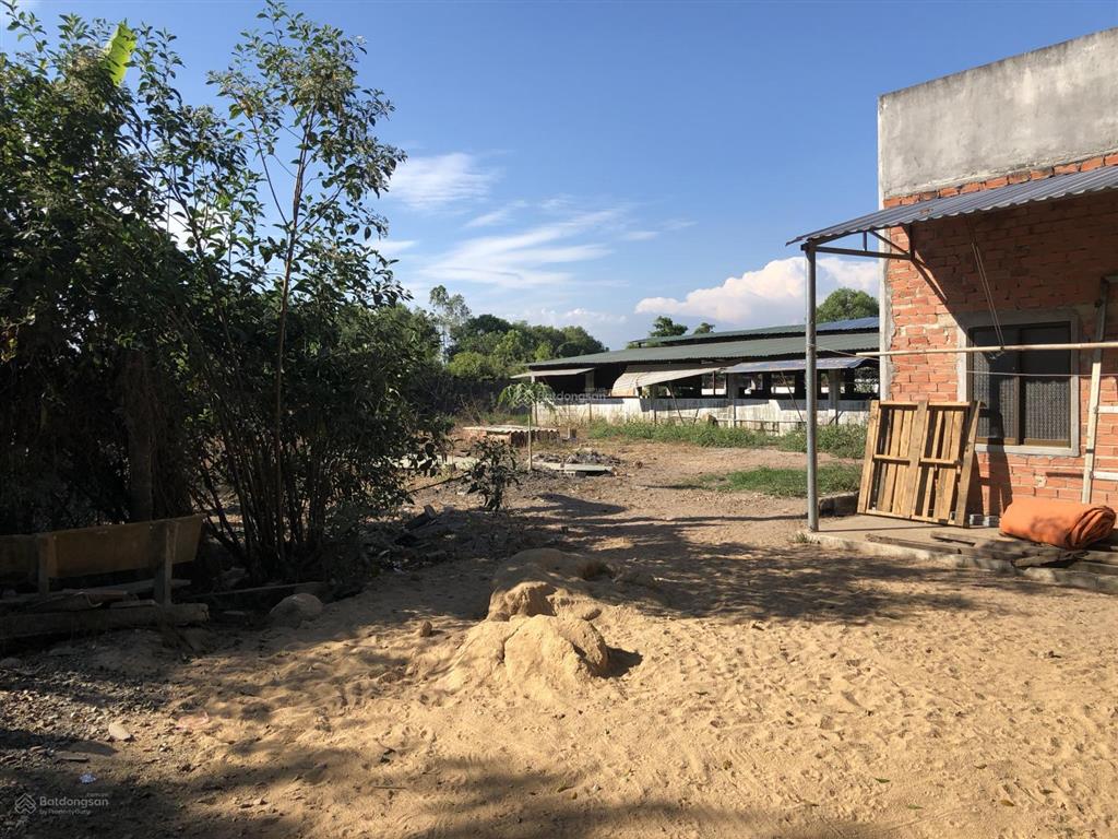 Bán đất xuôi nghệ châu pha, phú mỹ, bà rịa