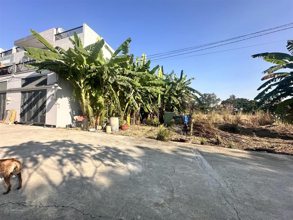 Chính chủ bán rẻ 82 đất ở hẻm bê tông 6m xã tân quý tây, bình chánh giá 2,250 tỷ thương lượng