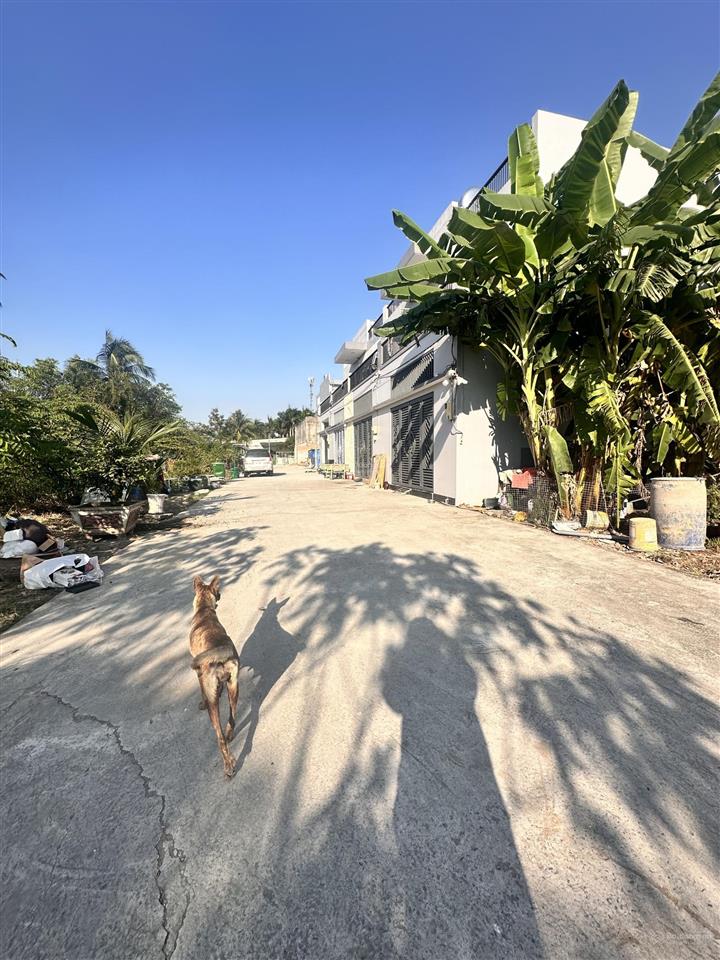 Chính chủ bán rẻ 82 đất ở hẻm bê tông 6m xã tân quý tây, bình chánh giá 2,250 tỷ thương lượng