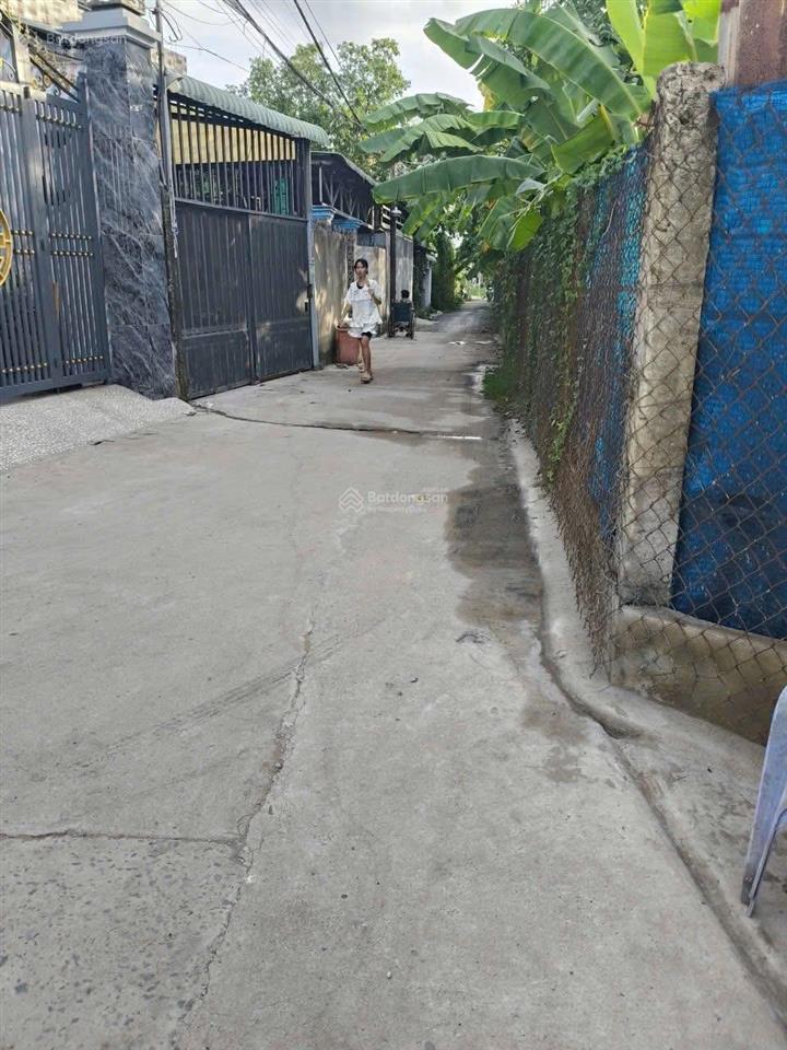 Chính chủ gửi bán rẻ 124m2 đất ở hẻm ô tô đường đoàn nguyễn tuấn xã bình chánh, huyện bình chánh