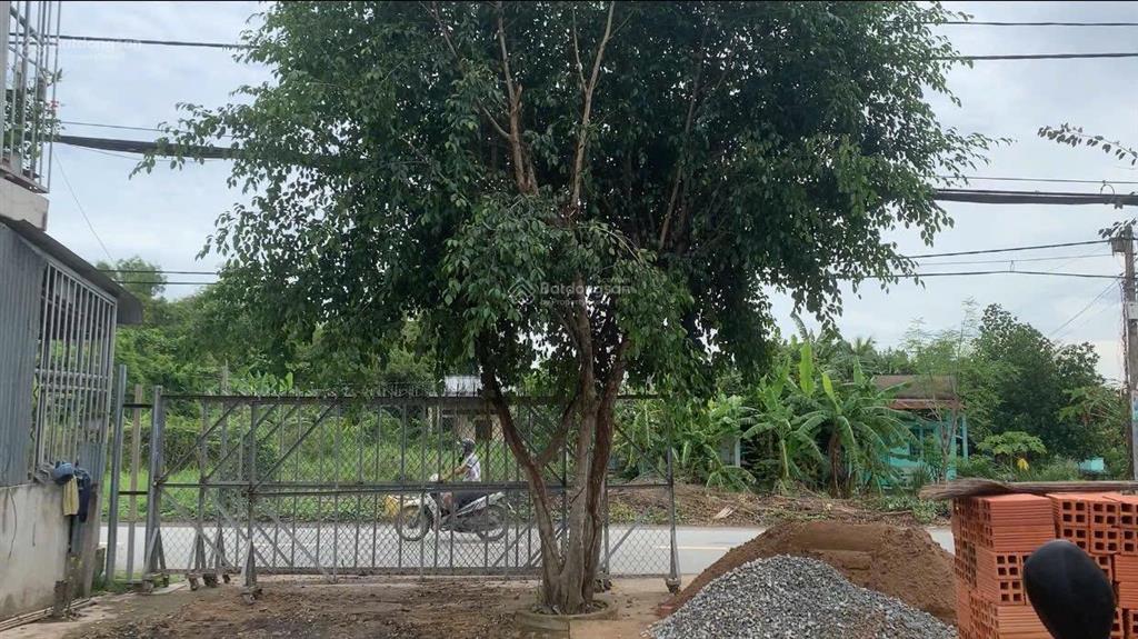 Bán rẻ nền đất ở 2 mặt tiền đường đoàn nguyễn tuấn được 247m2 giá 6,6 tỷ xã quy đức, bình chánh