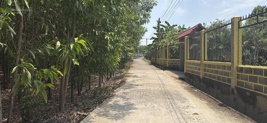 550 triệu lô đất sổ riêng thổ cư đường ấp 3