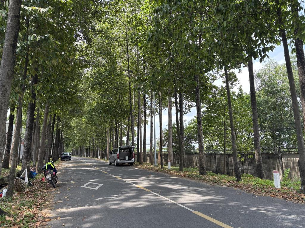 Cho thuê kho đường đỗ xuân hợp