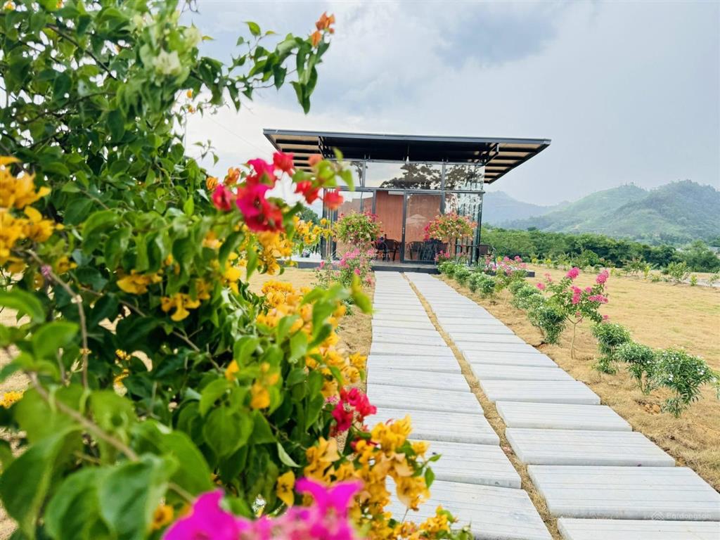 Đón sóng ga metro số 5 hoà lạc, giá 13,5 tr/m đất yên bình, thạch thất, gần xanh villa, đại lộ tl