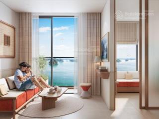 4,2 tỷ có ngay 2 ngủ vinhomes d'capitale trần duy hưng sẵn hợp đồng thuê  cơ hội cho nhà đầu tư