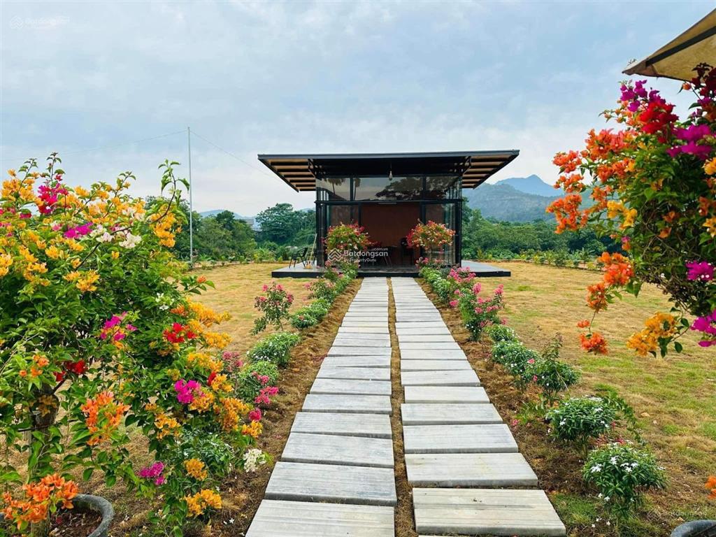 Ngộp ngân hàng cần bán gấp đất yên bình thạch thất, giá 13,5tr/m, gần xanh villa, đại lộ thăng long