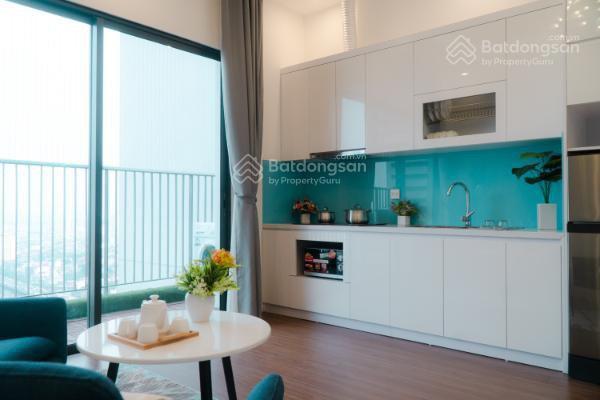 2,7 tỷ sẵn dòng tiền cho thuê 15 tr/ th full đồ, view hồvinhomes d'capitale 119 trần duy hưng