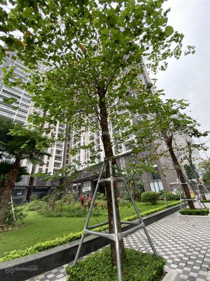 Tin thật ko ảo, cần bán nhanh căn hoa hậu 125.7m2, 3 ngủ, nội thất đẹp.  0978 353 ***