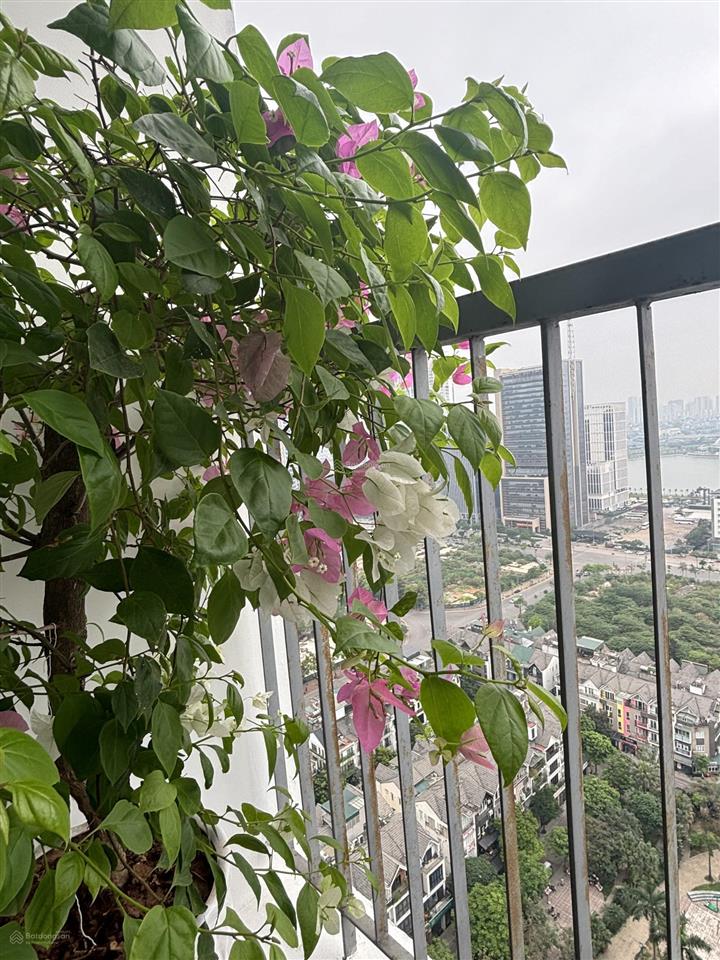 Chính chủ cần bán nhanh căn 2510 tòa a10 nam trung yên, giá cần bán