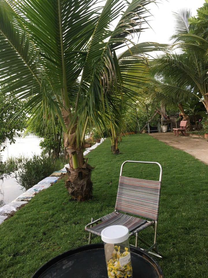 Bán biệt thự sông long thuận riverside, đảo kim cương quận 9, 10x47m  463m2, 1 trệt 2 lầu. 24 tỷ