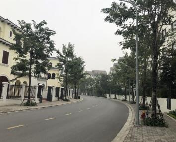 Bán biệt thự đơn lập nam an khánh 300m² view hồ điều hòa giá chỉ 100tr/m2
