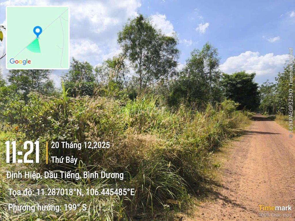 Đất Thanh An, TPHCM (Định Hiệp Dầu Tiếng cũ)