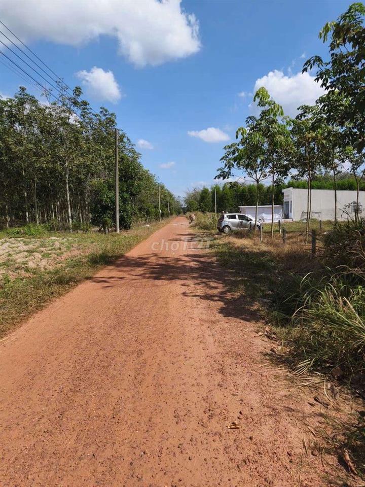 Đất Thanh An, TPHCM (Định Hiệp Dầu Tiếng cũ)