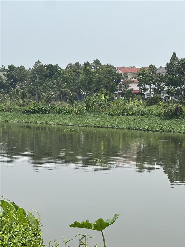 Bán đất bình dương thổ cư gần trường đại học việt đức giá quá rẻ chỉ 1,1 tỷ/368.2m2