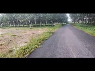 Bán gấp nhà riêng tại an điền, bến cát, bình dương, 3,7 tỷ, 1100m2