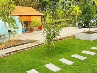 Đất vườn bình dương bến cát gần trường đại học quốc tế việt đức giá rẻ nhất thị trường có 3,2tr/m2