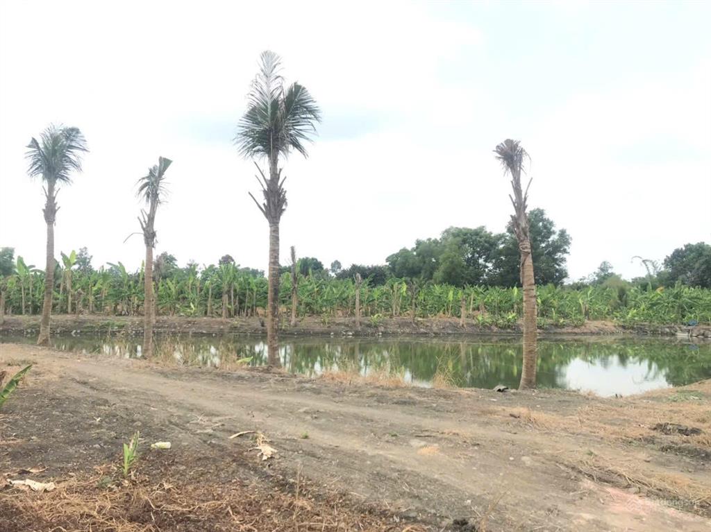 Đất ngộp trảng bom đồng nai lỗ 70% chỉ 390k/m2 quy hoạch thổ cư