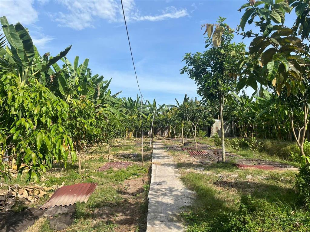 Đất mặt tiền nhựa liên ấp 234, xã tân quý tây, huyện bình chánh, 1484m2