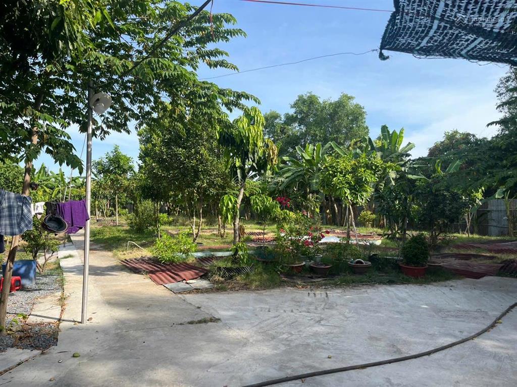 Đất mặt tiền nhựa liên ấp 234, xã tân quý tây, huyện bình chánh, 1484m2