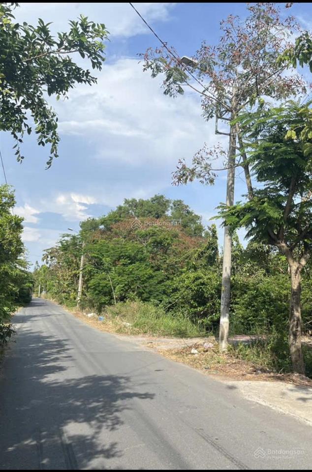 Đất mặt tiền nhựa liên ấp 234, xã tân quý tây, huyện bình chánh, 1484m2