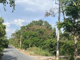 Đất mặt tiền nhựa liên ấp 234, xã tân quý tây, huyện bình chánh, 1484m2