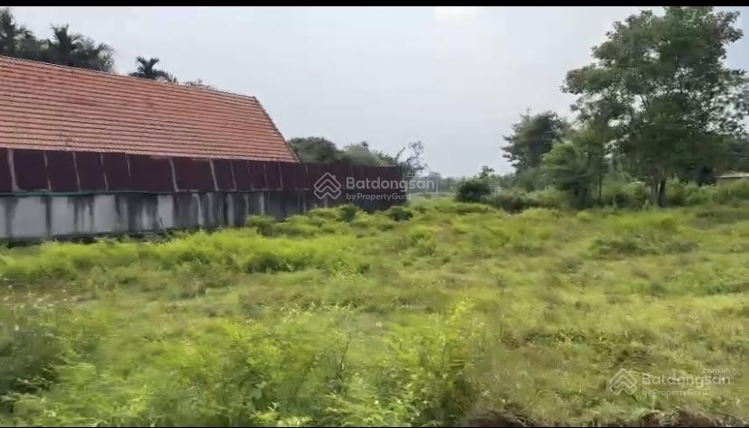 Bán gấp lô 3217m2 xã bàu chinh huyện châu đức vũng tàu, sổ hồng sẵn