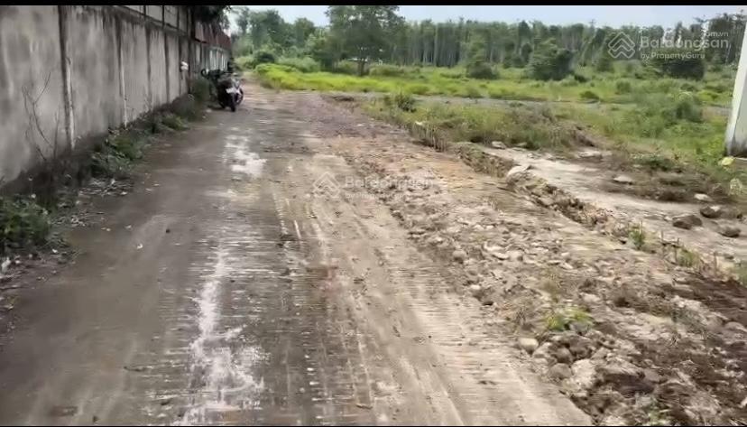 Bán gấp lô 3217m2 xã bàu chinh huyện châu đức vũng tàu, sổ hồng sẵn