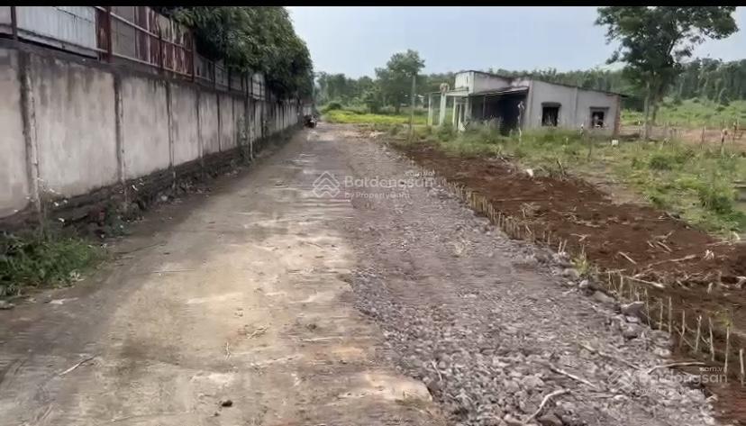 Bán gấp lô 3217m2 xã bàu chinh huyện châu đức vũng tàu, sổ hồng sẵn